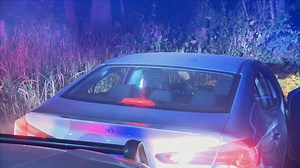 Watch Cops: Season 37, Episode 14, "Misspent Youth" Online - Fox Nation