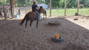 Ol buck was just old n sour | Eddie Landers-Horses