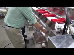 Conveyor Packing Station by Nercon