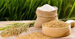 NEW CHALLENGES AND OPPORTUNITIES FOR VIETNAM’S RICE EXPORTS