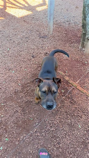 Os vídeos de angelramboo (@angelramboo) com som original - angelramboo