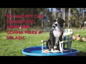 Olivia Harms - Kiddie Pool Lyric Video