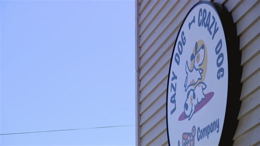 Lazy Dog Crazy Dog closes its Seattle locations indefinitely due to threats after an employee is charged with animal cruelty. | KING 5