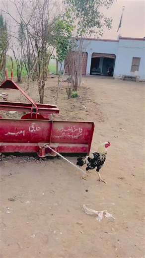 Recap of 2025: Aheer Brand Highlights