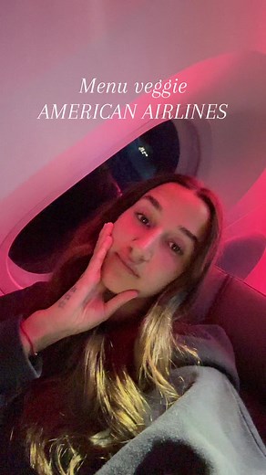 Menu Veggie on American Airlines: Delicious Airplane Food Options