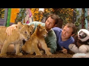 Zoboomafoo - Lion Cubs | WildBrain Zoo | Animal Lovers Kids Show