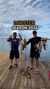 Have you ever caught a Florida Lobster? Lobster season starts August 6th in Florida and ends March 31st We’ve been hunting the reefs in Florida for well over a decade now We’ve had a love for the Ocean well before learning about our passion for food What we’ve realized is that we really enjoy harvesting food It’s amazing that our “waste” from fishing and diving is natural fertilize for our fruit trees Close the Loop 🙏 #GrowInnHomes #GenerationalHealth #Unify #Community #GrowingFood #FoodForest 