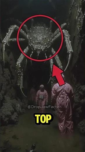 TOP 5 ANIMALS THAT LOOK PHOTOSHOPPED BUT ARE 100% REAL! 😱 #animals #shorts #facts