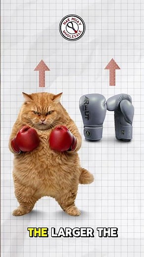 "What size boxing gloves should I buy?"