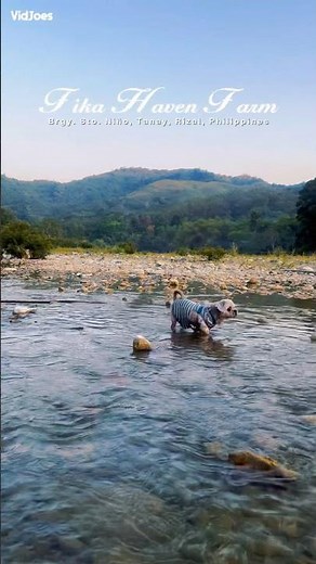 Best Chill Camping Spot in Tanay sa Tabing ilog - a quick escape from manila