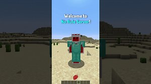 Types of Server Owners in Minecraft