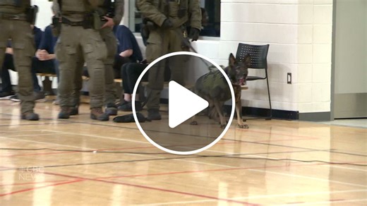 Regina students learn what it's like to work as a police officer - NewsBreak