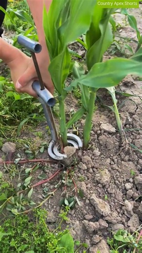 🔩🧑‍🌾 Fast Rootball Extraction: Moving Garden Seedlings Safely with Core Samplers