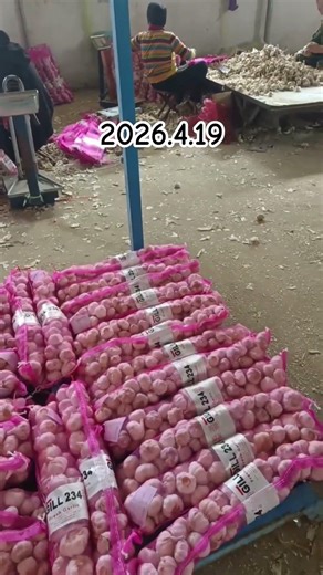 #garlic #supplier #export #import #factory #carrot #ginger #onions #dealer #distributor #wholesale