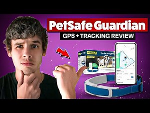 PetSafe Guardian GPS + Tracking Review (My Honest Opinion)
