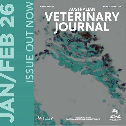 The January–February issue of the #AustralianVeterinaryJournal showcases 10 papers on education, ethics and welfare, production animals, and small‑animal practice. AVA members can login and select ‘Latest Issue’, Volume 104, Issue 1, February 2026 - https://bit.ly/4hJosAY There are 30 quiz questions and 3 Vet Ed points available for AVA members via My Learning 👉 https://bit.ly/4lQNekT 📷 Cover image: The photomicrograph is from histological sections of a horse with a Pythium insidiosum infectio