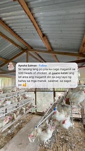 Poultry housing area for 500 heads layer or ready-to-lay chicken and how many cages to assemble #RTLchicken #layerchicken #poultryfarming | Dodong King