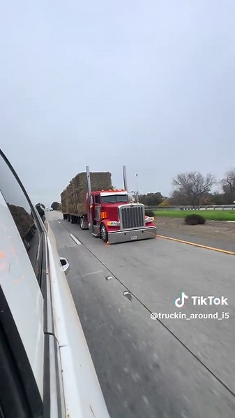 Slammed Peterbilt with Chicken Lights and Chrome