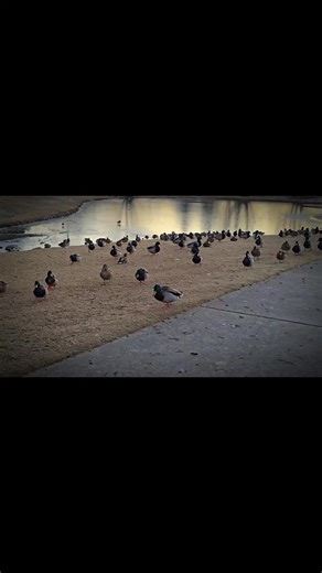 @LABelle @Electric Sun lOl #beherenow #loveisthepurpose #skyteam #1 #Creatorspeed