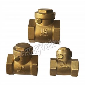 [Hot Item] 20 Years Experienced DN15-DN50 Brass Non-Return Valve
