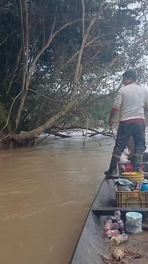 Buen lance con la tarraya | Pescando Con David