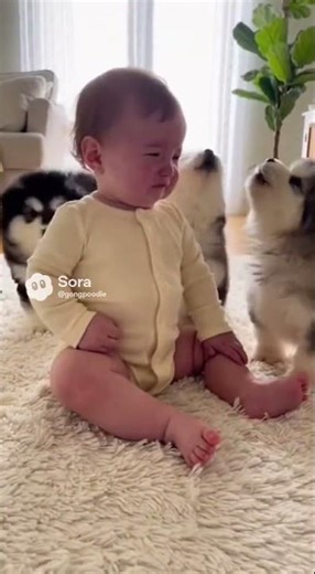 Cute but Playful: The Amazing Growth Story of Puppies 🐾