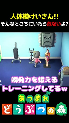[Animal Crossing] My family's human body model calculator
