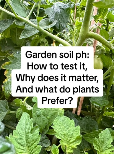 38K views · 1.2K reactions | Your gardens soil PH will have a tremendous impact on your plants. Test it at the end of every season, & in the spring after amendments have been applied #soilph #soilhealth #garden #gardening #gardening101 | London's Priorities | Facebook