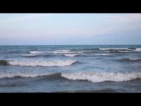 A walk around Rouge Beach, Scarborough | Toronto