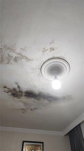 Emergency help is needed. How to Remove Ceiling Mold #looklistenwatch bbbbbbbbbbbb.