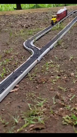 #trainreels #traintravel #trainstagram #trainlife #railway #railroad #choochoo #trainstation #trainspotting #travelbytrain #commuting #dailytrain #scenictrainride #trainphotography #railwayphotography #explorebytrain | Train T.V