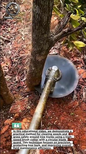 High-Speed Brush Cutter Technique Around Tree Bases | Safe & Efficient Clearing Method.