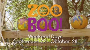 14K views · 3 comments | San Antonio Zoo on Reels | Facebook