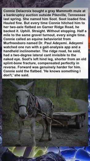 15 Incredible True Stories That Will Restore Your Faith in Humanity ❤️