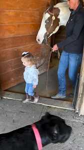 🩷🐴 #horse #horsesofinstagram #horsesheal #blessed #grateful #love | Angel Horse.