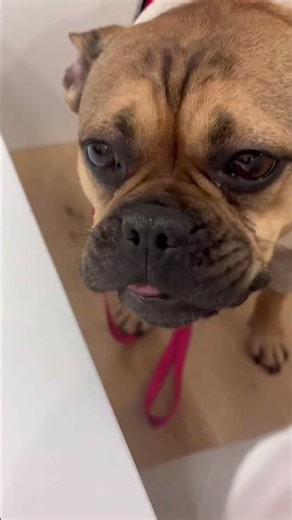 Come to get ice cream with