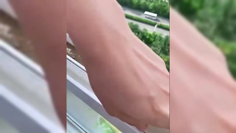 Magic Window Track Cleaner, 2024 New Window Groove Cleaning Brush Tools Set, Creative Cleaner Brushes Tools for Window lides Gaps, Sliding Door Track, Tile Lines Shutter Car Vents (Grey+Green)