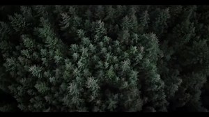 Raido💫 | Wardruna Fanpage