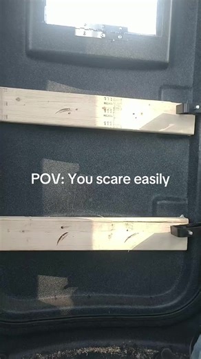 Scaredy cat so rude. #momtok #pranks #boo