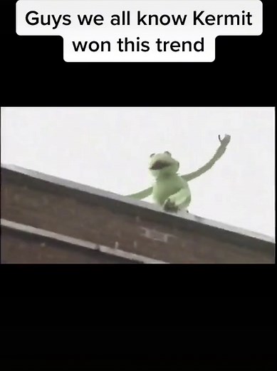 ❤️Thatcapsfan❤️ (@thatcapsfan85) - Kermit the Frog Jumping off Building | Epic Leap Compilation