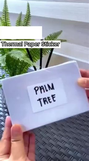 Palm Tree Package (@palmtreepackage)’s videos with original sound - Palm Tree Package