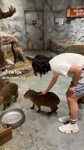 user97378186818 on TikTok