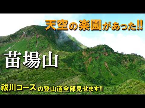 【登山体験】苗場山、梅雨の晴れ間を探して天空の楽園に行ってきた！／祓川コースの登山道全部見せます！／2024/06