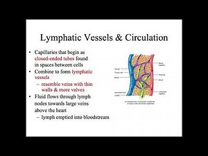 Lymphatic system part1