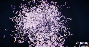 Minecraft Particle Show Tutorial: Create Stunning Effects