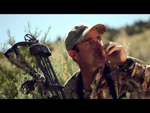 Unorthodox Tactic: Calling for Mule Deer