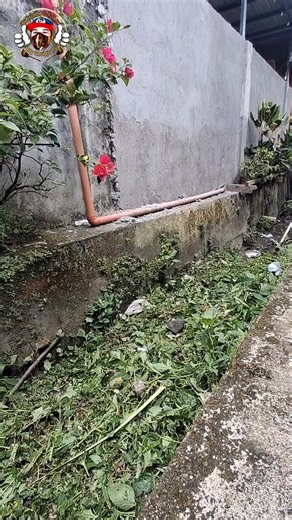 "Many leaves are blocking the waterway." | Boy George TV