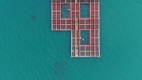 Mussel Farm in the Sea Shows Workers Tending To Crops on a Platform Above Clear Blue Water during Stock Video - Video of marine, method: 433420725