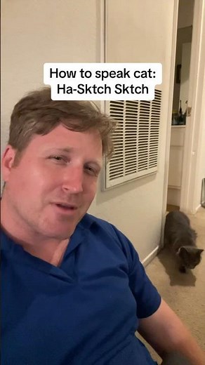 How to Speak Cat: Lesson 9