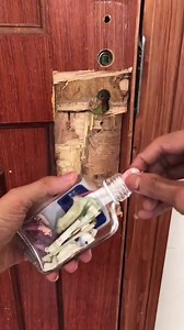 69K views · 69 reactions | Amazing Skills-The highest level of keeping secret money | TT也瘋狂 | Facebook